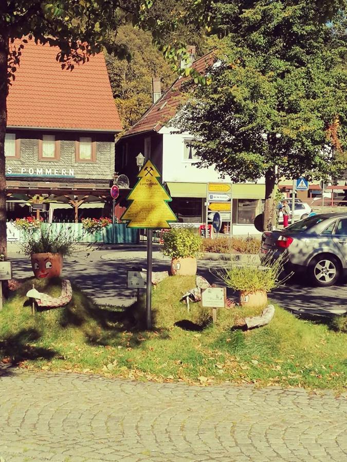 Crisand 2 Bergen Altenau  Dış mekan fotoğraf